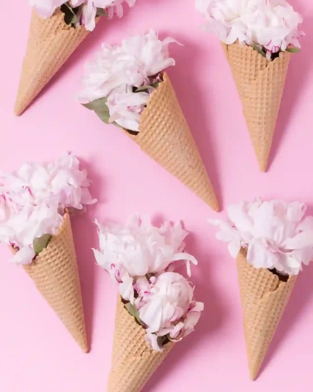 sale pink flowers mobile4